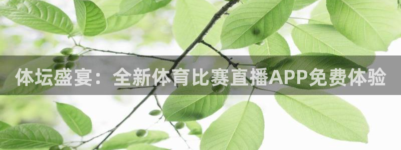 体坛盛宴：全新体育比赛直播APP免费体验