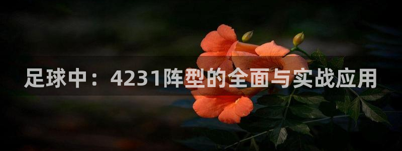 足球中：4231阵型的全面与实战应用
