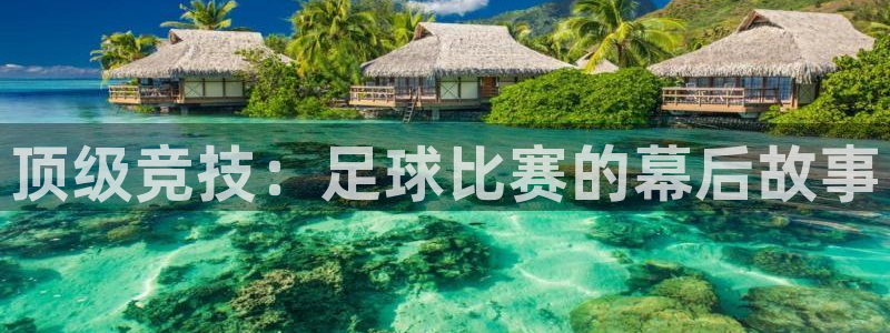 顶级竞技：足球比赛的幕后故事