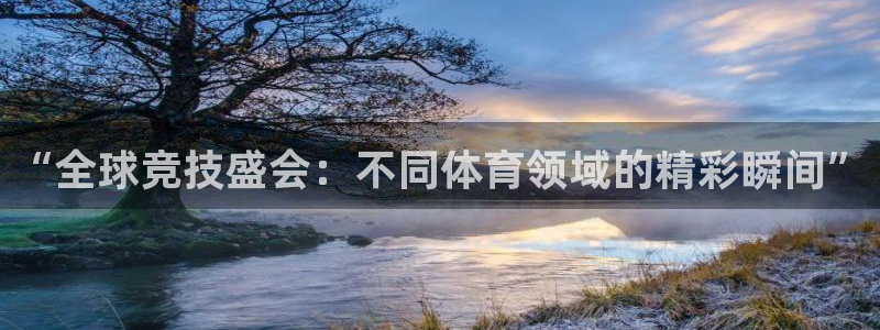 “全球竞技盛会：不同体育领域的精彩瞬间”