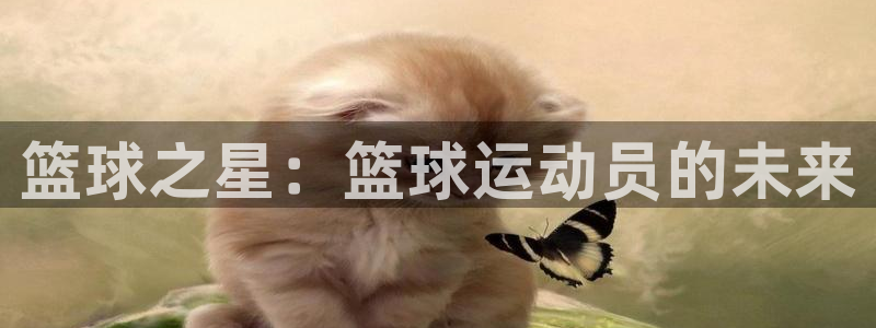 足球九球体育直播