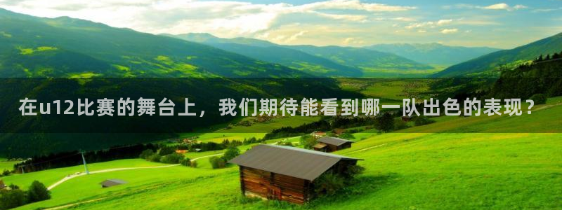 九球体育直播吧：在u12比赛的舞台上，我们期待能看到哪一队出色的表现？