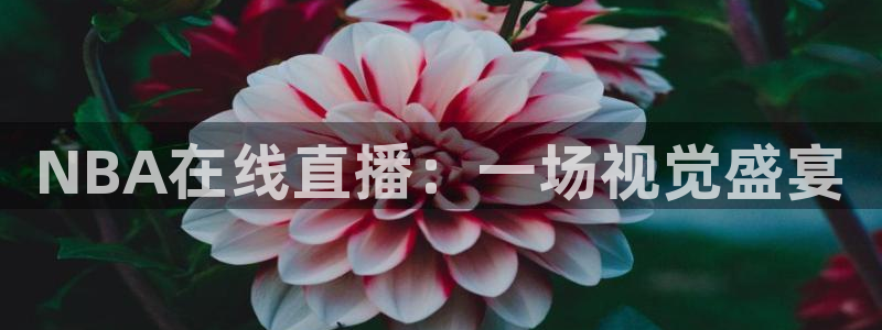 九球体育精彩足球赛事nba：NBA在线直播：一场视觉盛宴
