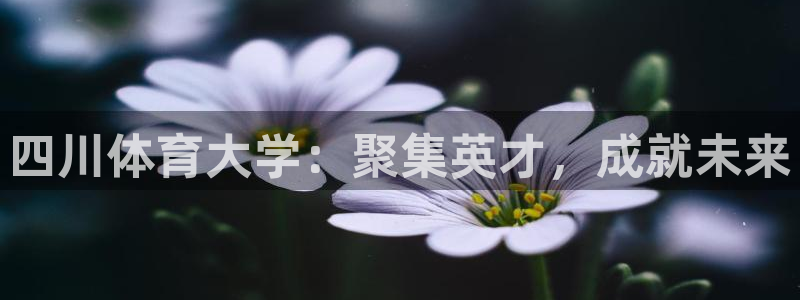 九球高清直播免费观看：四川体育大学：聚集英才，成就未来