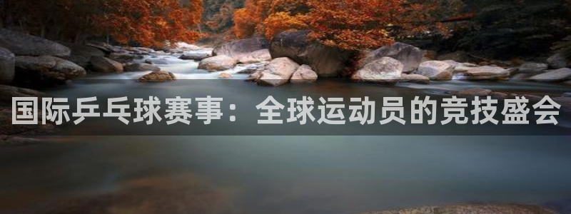 九球足球直播：国际乒乓球赛事：全球运动员的竞技盛会