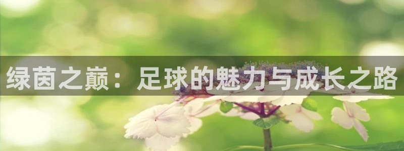 九球高清直播免费观看：绿茵之巅：足球的魅力与成长之路