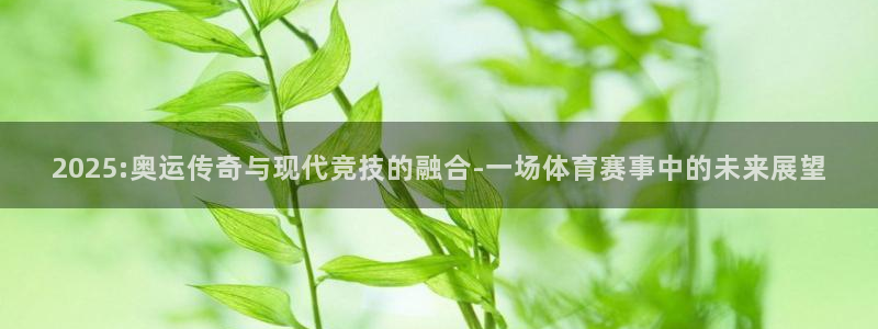 九球直播