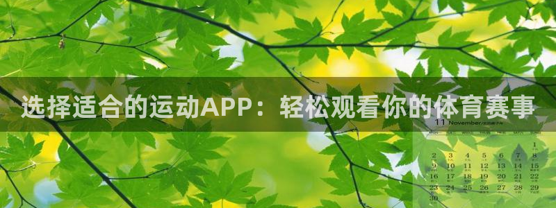 9qzb九球直播：选择适合的运动APP：轻松观看你的体育赛事